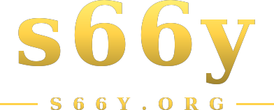 s66y logo